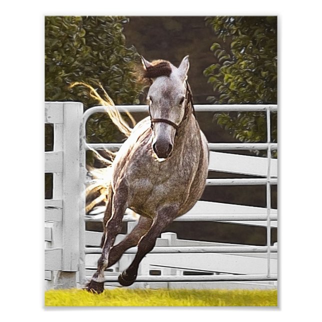 Impression Photo Zest for Life (Devant)