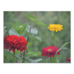 Impression Photo Zinnias impressionniste