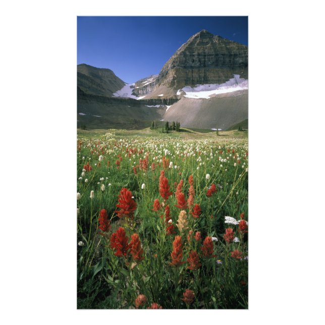 IMPRESSION PHOTO ZONE SAUVAGE DU MONT TIMPANOGOS, UT, É-U, (Devant)