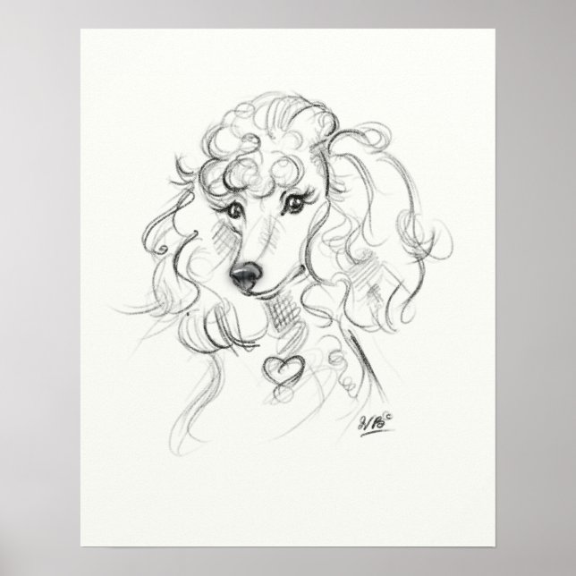 Impression Poodle Art | Art esquisse (Devant)