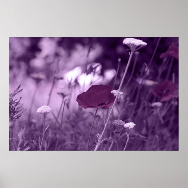 impression pop-i violet (Devant)