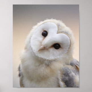 Impression pour la nurserie de bébé Owlet – Art mu