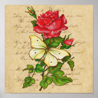 Impression rose et papillon