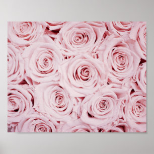 impression rose fleurs murales