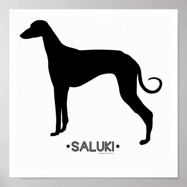 Impression Saluki (Devant)