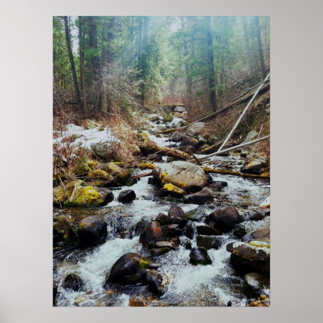 Impression sauvage (Devant)