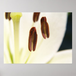 Impression sérielle