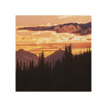 Pittoresque Sunset Mountains Jungle Pine Tree Fall