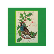 Quail à Holly