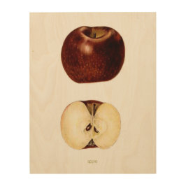 Impression Sur Bois Tranche Apple 11" x 14"