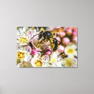 Impression sur toile Abeille dans le quartier  36 