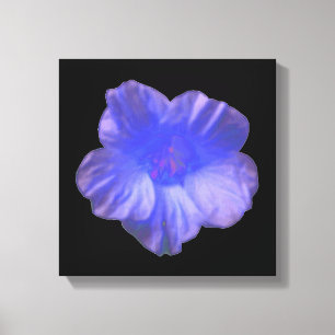 Impression sur toile de fleur de capucine bleue