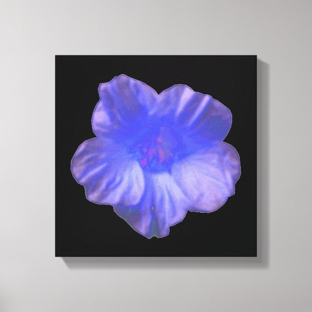 Impression sur toile de fleur de capucine bleue (Recto)