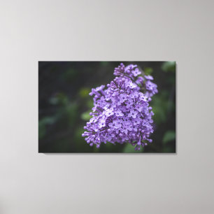 Impression sur toile de fleurs de lilas violet en