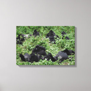 Impression sur toile de groupe de gorilles des mon