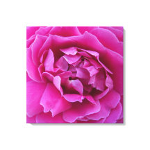 Impression sur toile de la rose convoitée