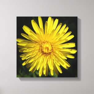 Impression sur toile de pissenlit