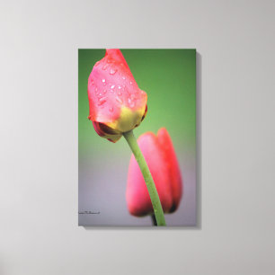 Impression sur toile de tulipes roses