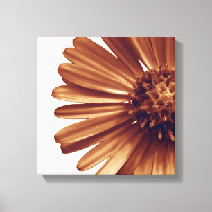 Impression sur toile enroulée, Fleur, Aster