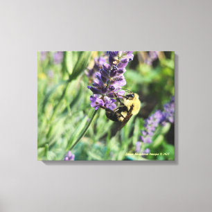 Impression sur toile étendue Abeille bourdonne et