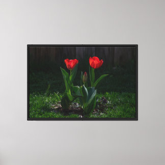 Impression sur toile étendue de Tulipes rouges
