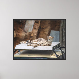Impression sur toile étendue du Salon du Guépard