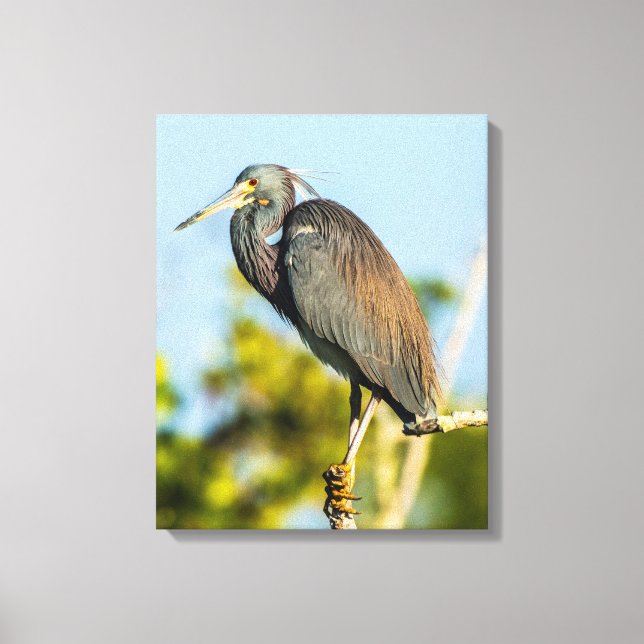 Impression sur toile étirée Bird Perfect 35,70 x 3 (Recto)