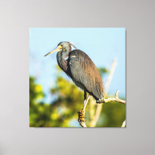 Impression sur toile étirée Bird Perfect 35,70 x 3