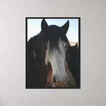 Impression sur toile étirée Cheveux dans les yeux
