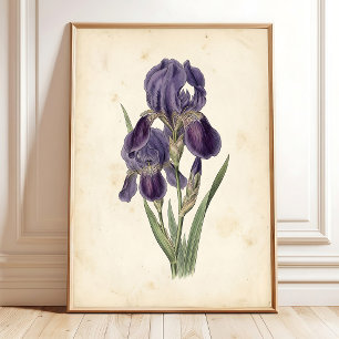 Impression sur toile Iris Bohème Vintage