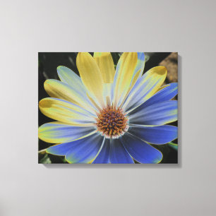 Impression sur toile Lapis et Or de Marguerite Afr