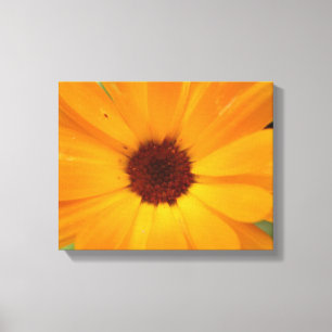 Impression sur toile Orange Rain Daisy