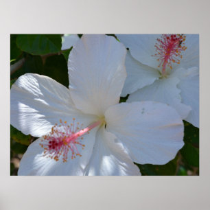 Impression sur toile parfum floral