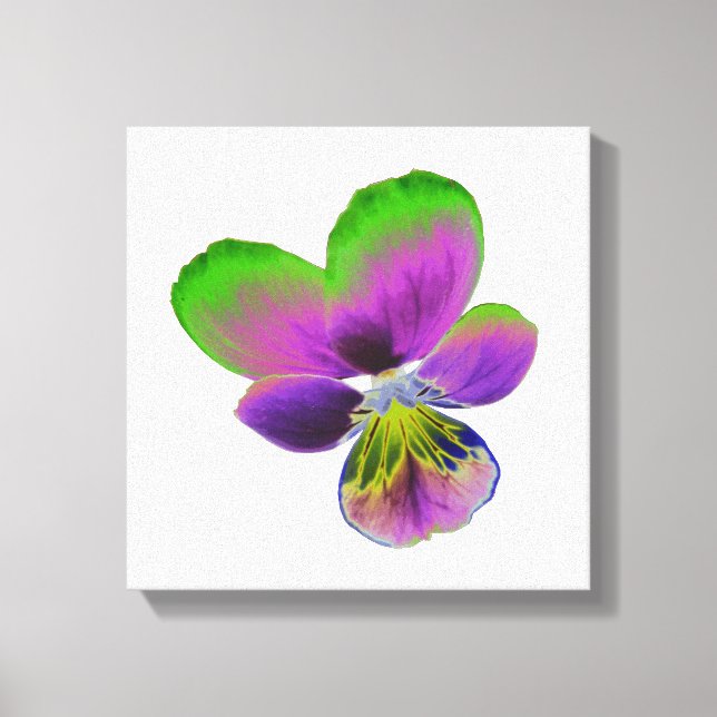 Impression sur toile Pensée violette et verte (Recto)