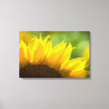 Impression sur toile Photographie florale de tourn