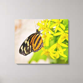 Impression sur toile tendue