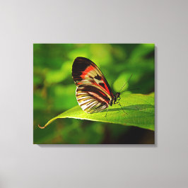 Impression sur toile tendue
