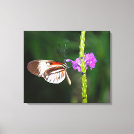 Impression sur toile tendue