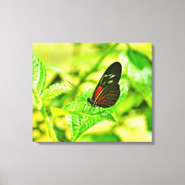 Impression sur toile tendue