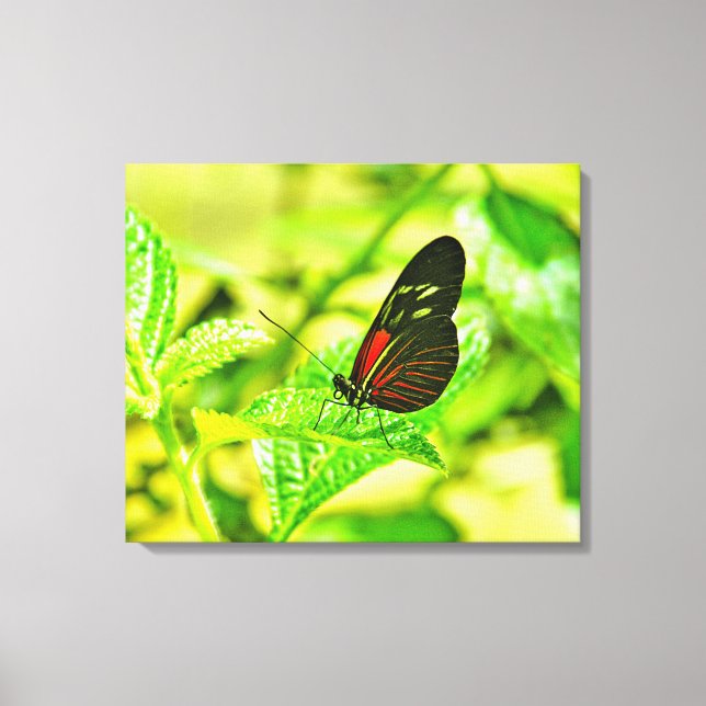 Impression sur toile tendue (Recto)