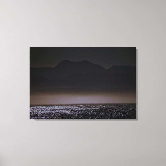 Impression sur toile tendue (Recto)