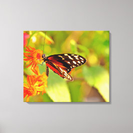 Impression sur toile tendue