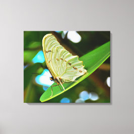 Impression sur toile tendue