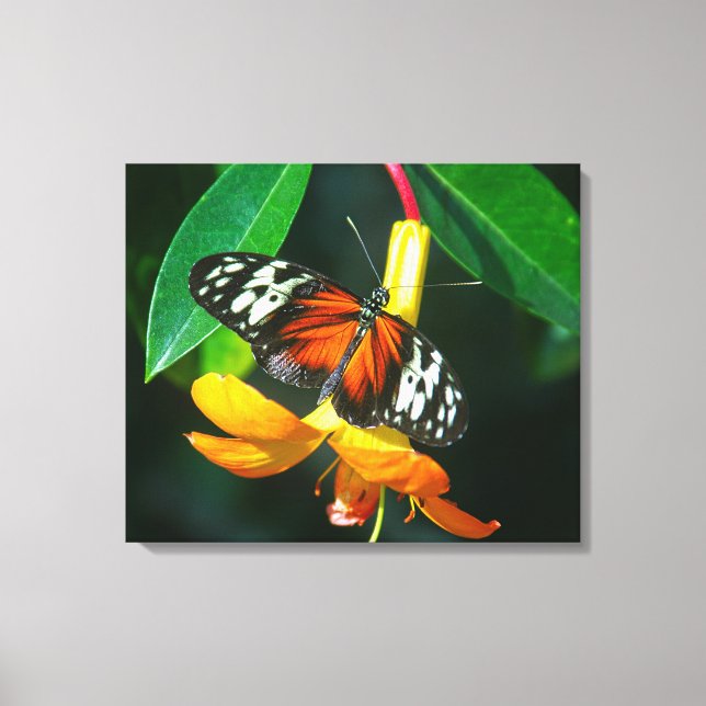 Impression sur toile tendue (Recto)