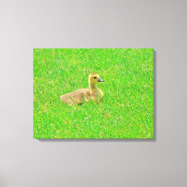 Impression sur toile tendue (Recto)