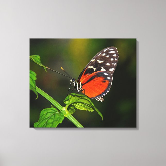 Impression sur toile tendue (Recto)