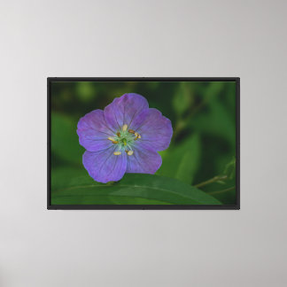 Impression sur toile tendue de fleur sauvage viole