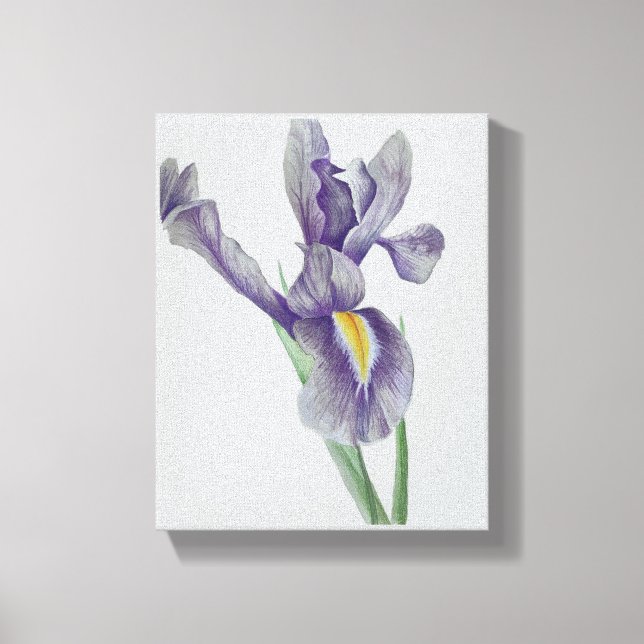 Impression sur toile tendue d'iris (Recto)