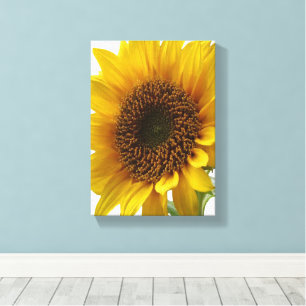 Impression sur toile tendue Fleur de soleil jaune