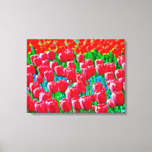 Impression sur toile tendue tulipes